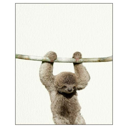Animals: Baby Zoo - Art Print - The Vault