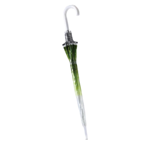 Forest Green: Clear Standard Umbrella - Time Concept. Inc. - The Vault