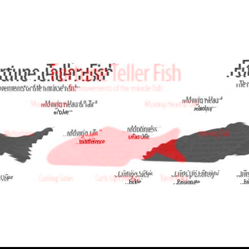 Fortune Teller: Miracle Fish - 6 Pack - The Vault