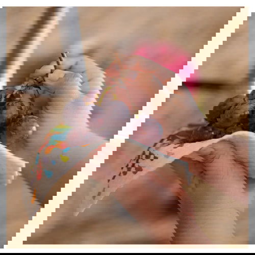 Hummingbirds Playing: Single Cloth - SWEDEdischcloths - The Vault