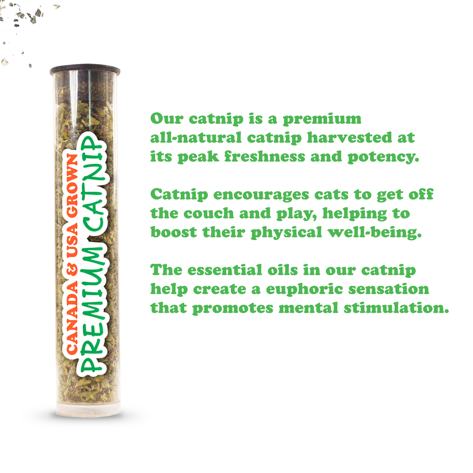 Jump 'n' Jamb! Deep Sea Squid: Refillable Catnip Swinging Toy - Meowijuana - The Vault