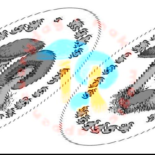 Make Magic Happen Everyday: Magnet - Kalan - The Vault