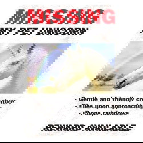 Missing My Pet Unicorn: Magnet - Kalan - The Vault