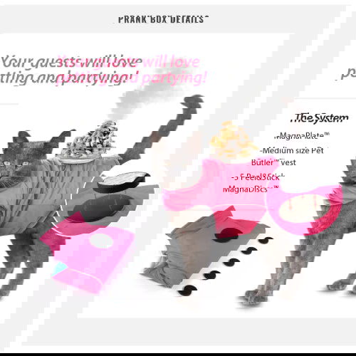 Pet Butler: Prank Gift Box - Prank-O - The Vault