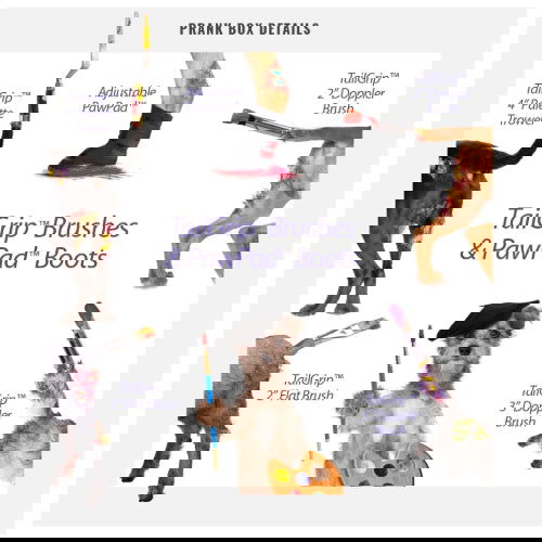 Pet Paint Kit: Prank Gift Box - Prank-O - The Vault