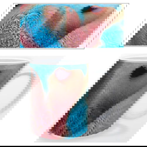 Pink Floyd Meddle: Ceramic Mug - Pyramid America - The Vault