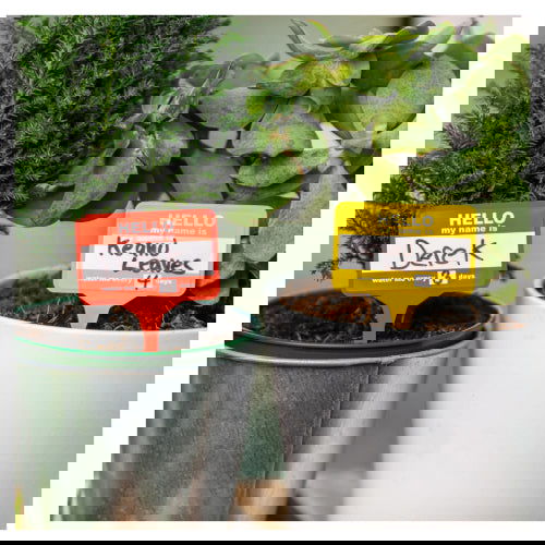 Plant Name Badges: Reusable Badges - Bubblegum Stuff - The Vault