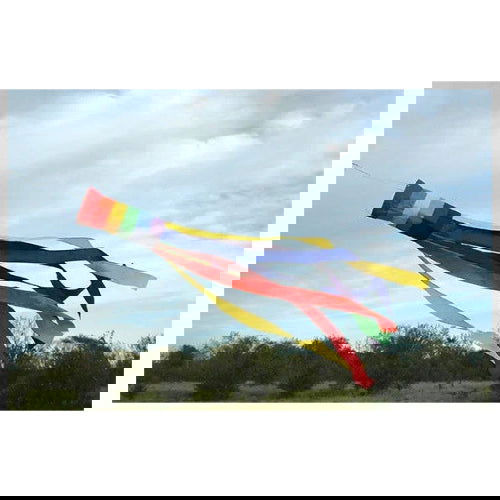 Rainbow: 60" Column - Windsock - The Vault