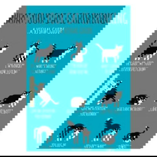 What Your Cat is Thinking: Magnet - Kalan - The Vault