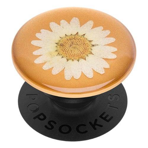 White Daisy Pressed Flower: PopSockets - Premium PopGrip - The Vault