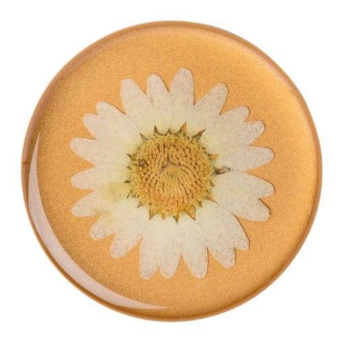 White Daisy Pressed Flower: PopSockets - Premium PopGrip - The Vault