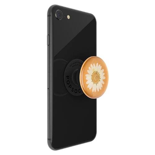 White Daisy Pressed Flower: PopSockets - Premium PopGrip - The Vault