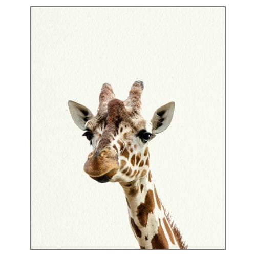 Animals: Baby Zoo - Art Print - The Vault
