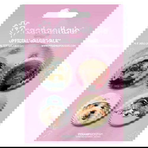 Badge/Buttons: Pack of 4 - Assorted - The Vault