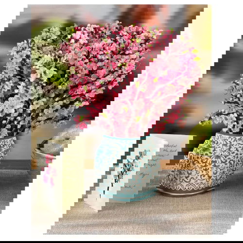 Cherry Blossom: Pop-Up Bouquet Greeting Card - FreshCut Paper - The Vault