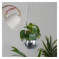Decor: Disco Ball - Hanging Planter (6 inch) - The Vault