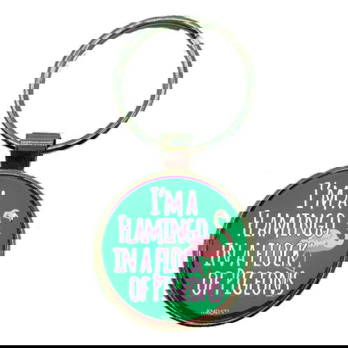 Dome Keyrings - Asst. - The Vault