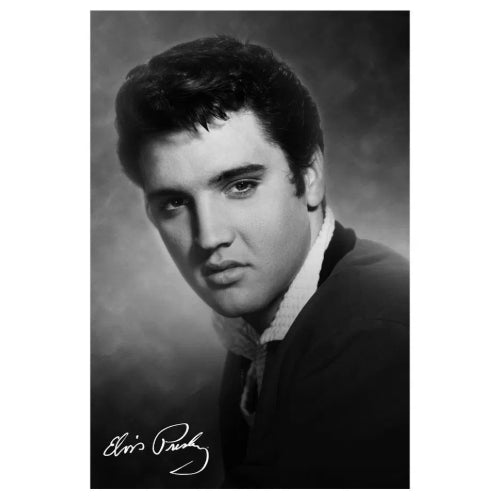 Elvis The King: Poster - Pyramid America - The Vault