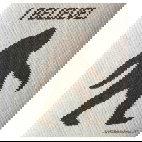 I Believe Bigfoot: Single Cloth - SWEDEdischcloths - The Vault