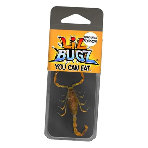 Lil Bugz: Edible Insects - Scorpion - The Vault