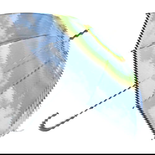 Rainbow: Clear Standard Umbrella - Time Concept. Inc. - The Vault