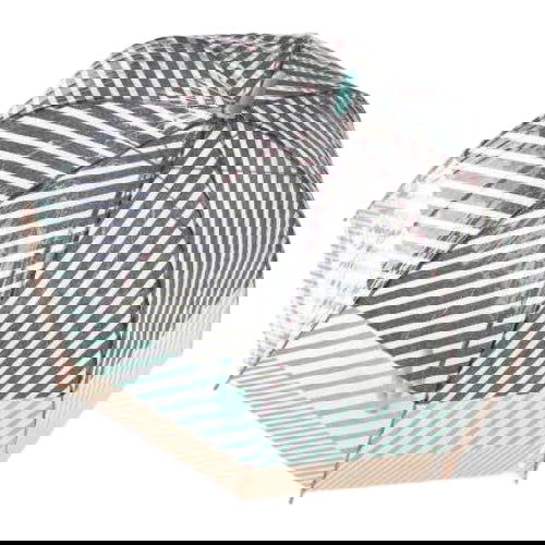 Stripe: Clear Dome Umbrella - Time Concept. Inc. - The Vault