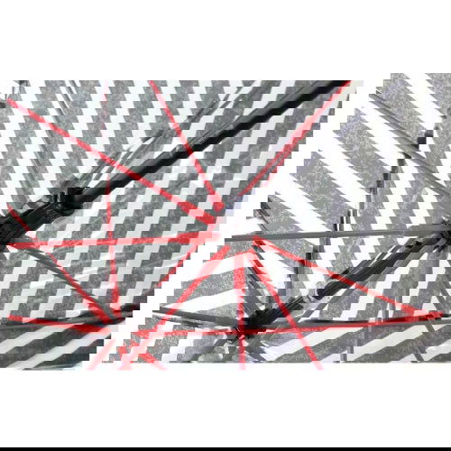 Stripe: Clear Dome Umbrella - Time Concept. Inc. - The Vault
